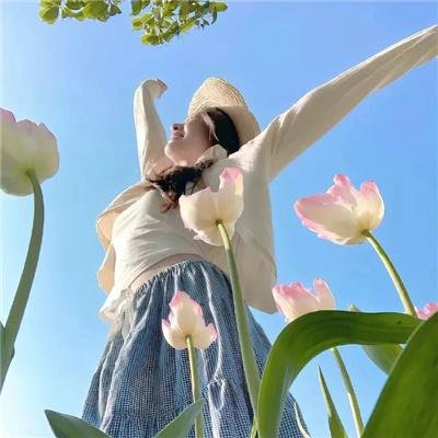来生预习曲