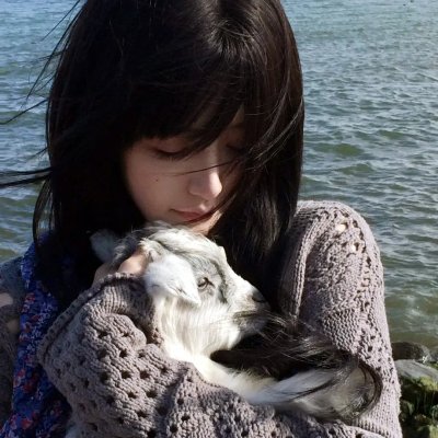 救起池中的猎豹