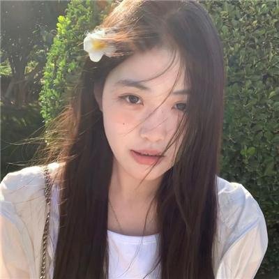 诚实国度的爱丽丝